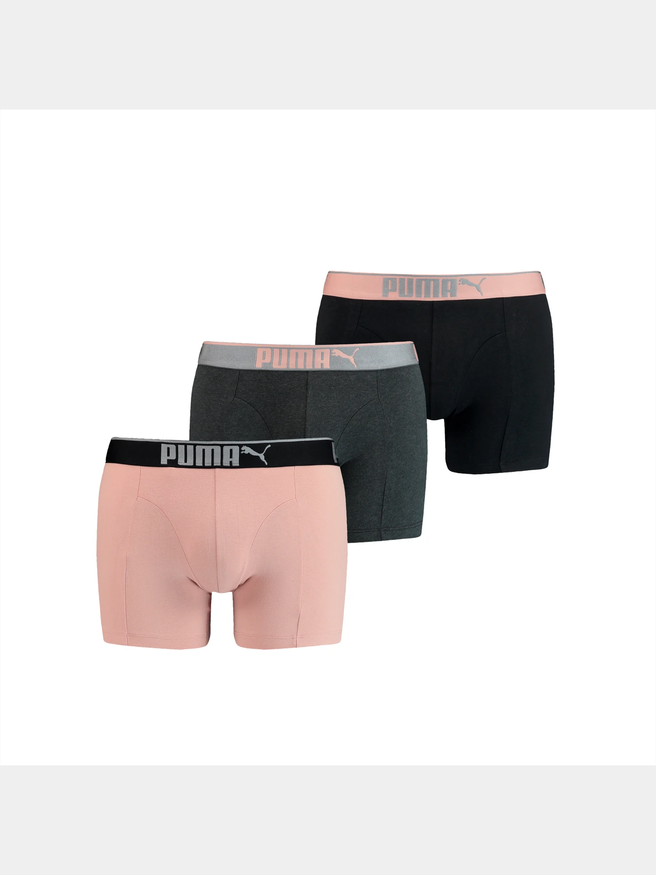 Нижнее белье PUMA Lifestyle Sueded Cotton модель 907268 Нижнее белье PUMA Lifestyle Sueded Cotton модель 907268 Фото