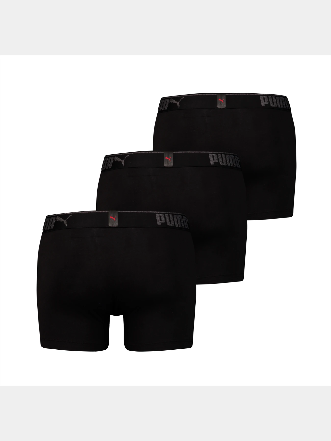 Нижнее белье PUMA Lifestyle Sueded Cotton модель 907268 Фото