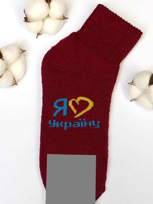 Шкарпетки та гольфи ISSA Plus модель NS-176_burgundy Фото