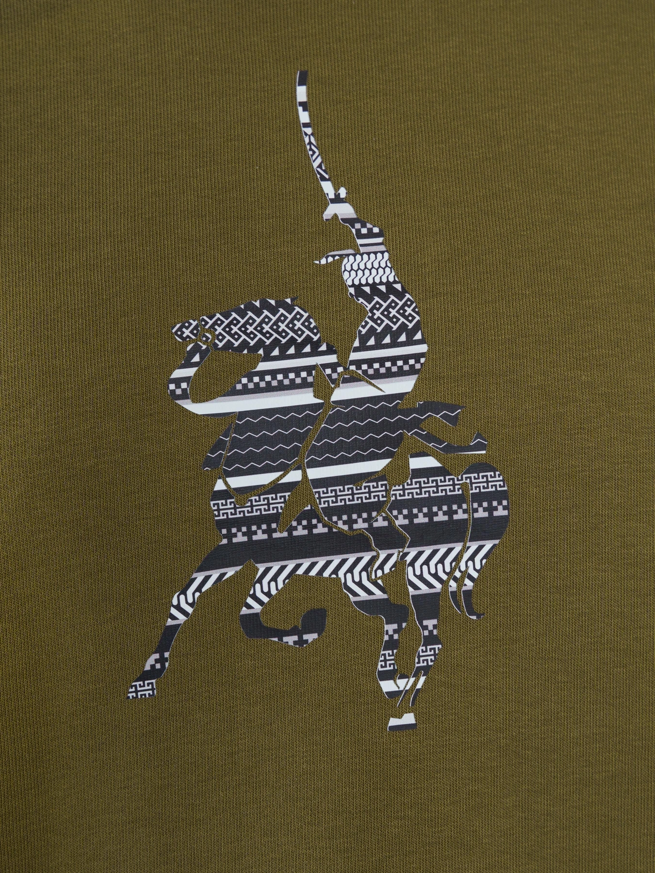 Худи и свитшоты Arber модель F17.02.53.231 Худи и свитшоты Arber модель F17.02.53.231 Фото