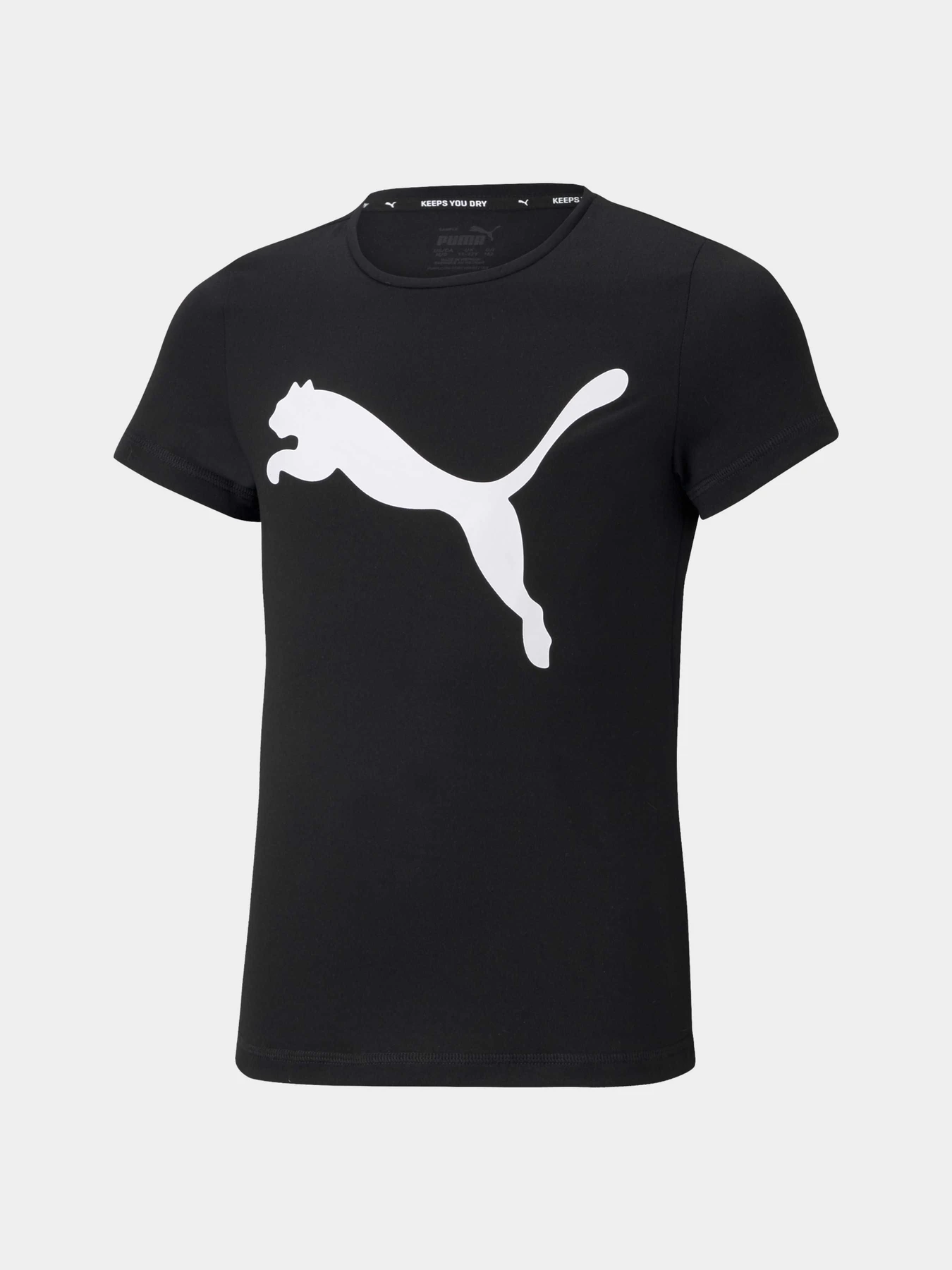 Футболки и поло PUMA Active Tee модель 587007 Фото