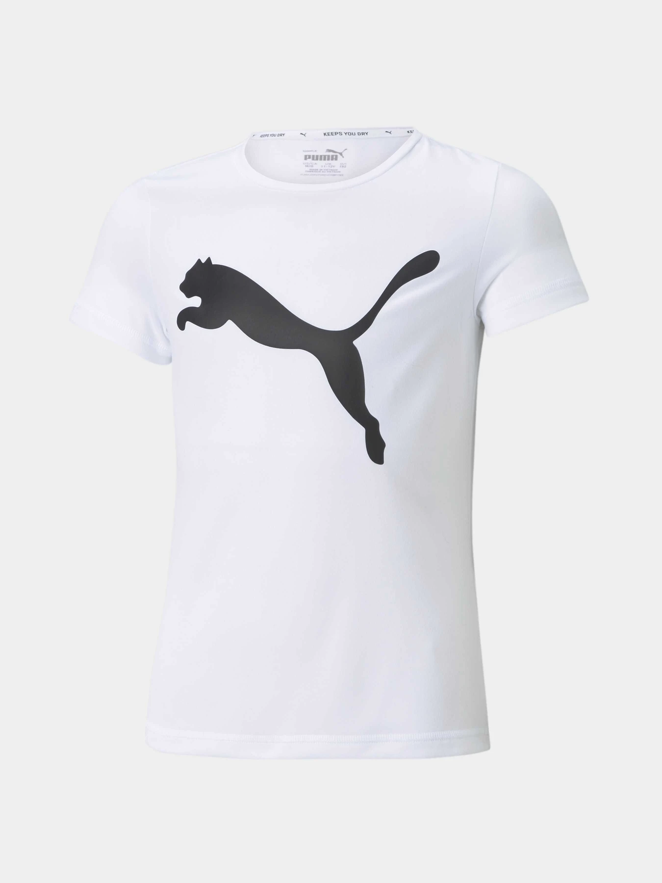 Футболки и поло PUMA Active Tee модель 587007 Фото