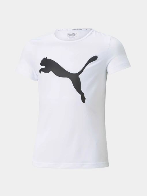 Футболки и поло PUMA Active Tee модель 587007 Фото