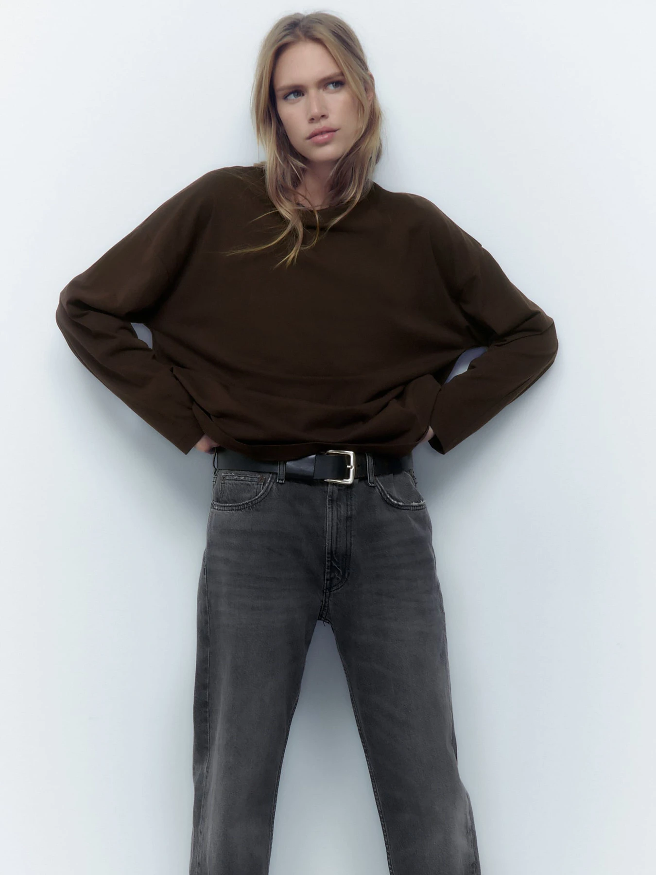 Худи и свитшоты ZARA модель 67810 Фото