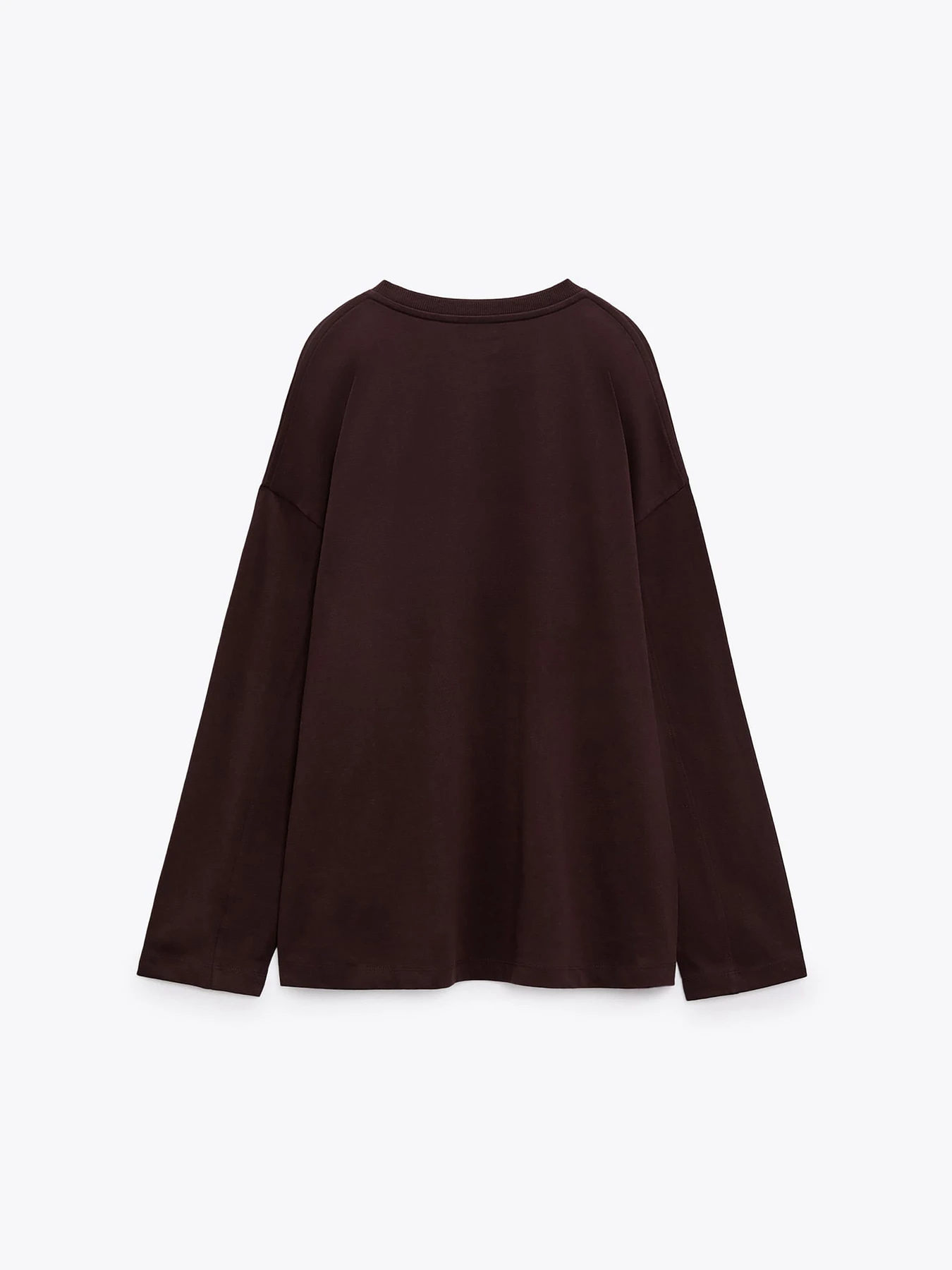 Худи и свитшоты ZARA модель 67810 Фото