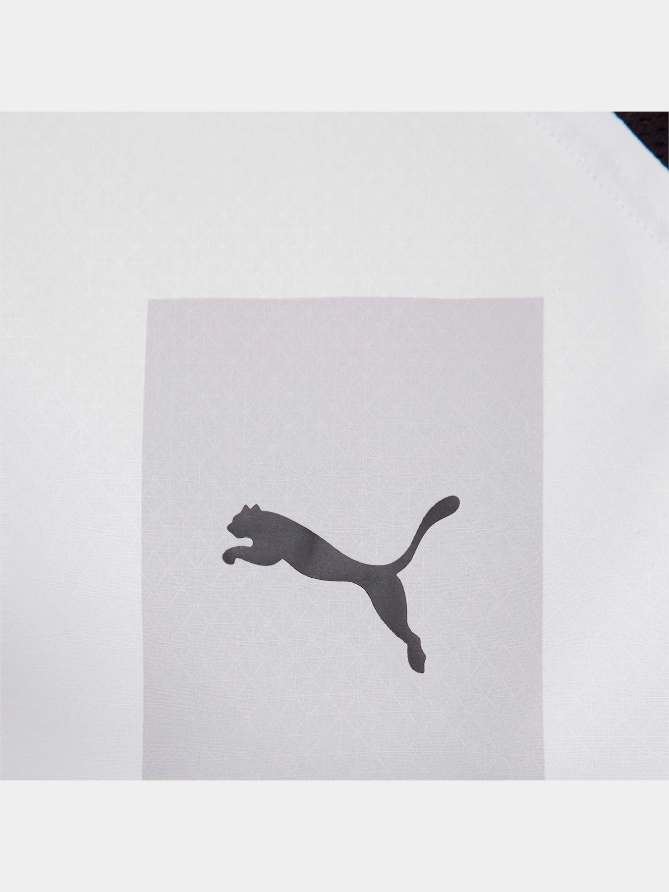 Футболки и поло PUMA Fcsd 3rd Jersey Promo W модель 765632 Фото