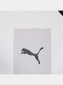 Футболки и поло PUMA Fcsd 3rd Jersey Promo W модель 765632 Фото
