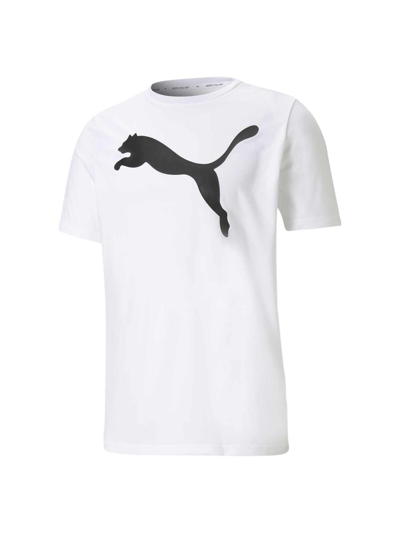 Футболки и поло PUMA ACTIVE Big Logo Tee модель 586724 Футболки и поло PUMA ACTIVE Big Logo Tee модель 586724 Фото
