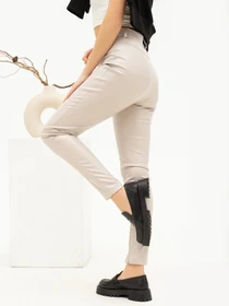 Штани ISSA Plus модель SA-451_lightgray Фото