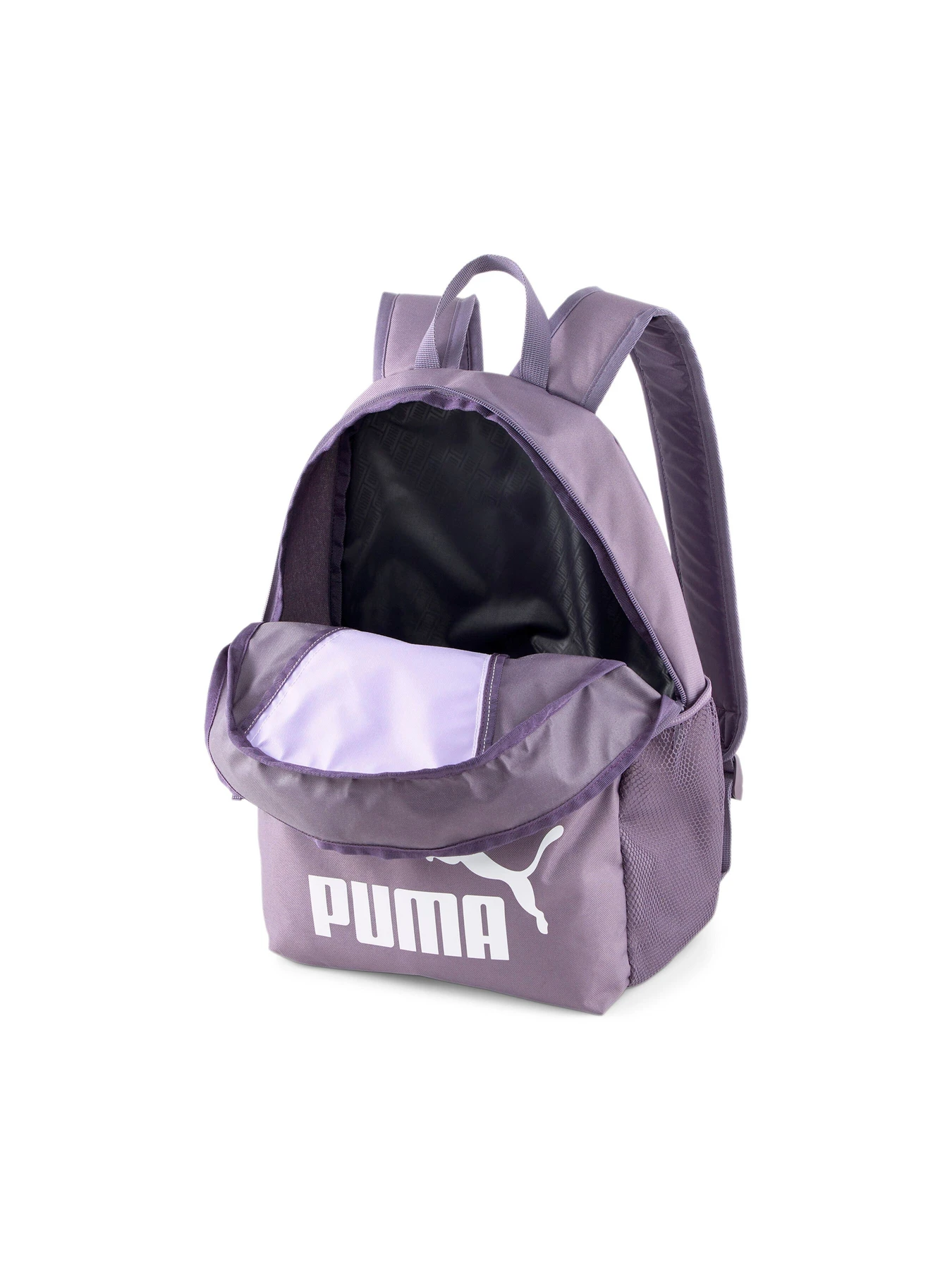 Рюкзаки PUMA Phase Blocking Backpack модель 078962 Фото