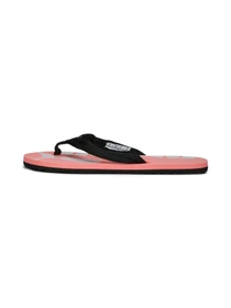 Шлёпанцы PUMA Epic Flip V2 модель 360248 Фото