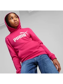 Худи и свитшоты PUMA модель 587030 Фото