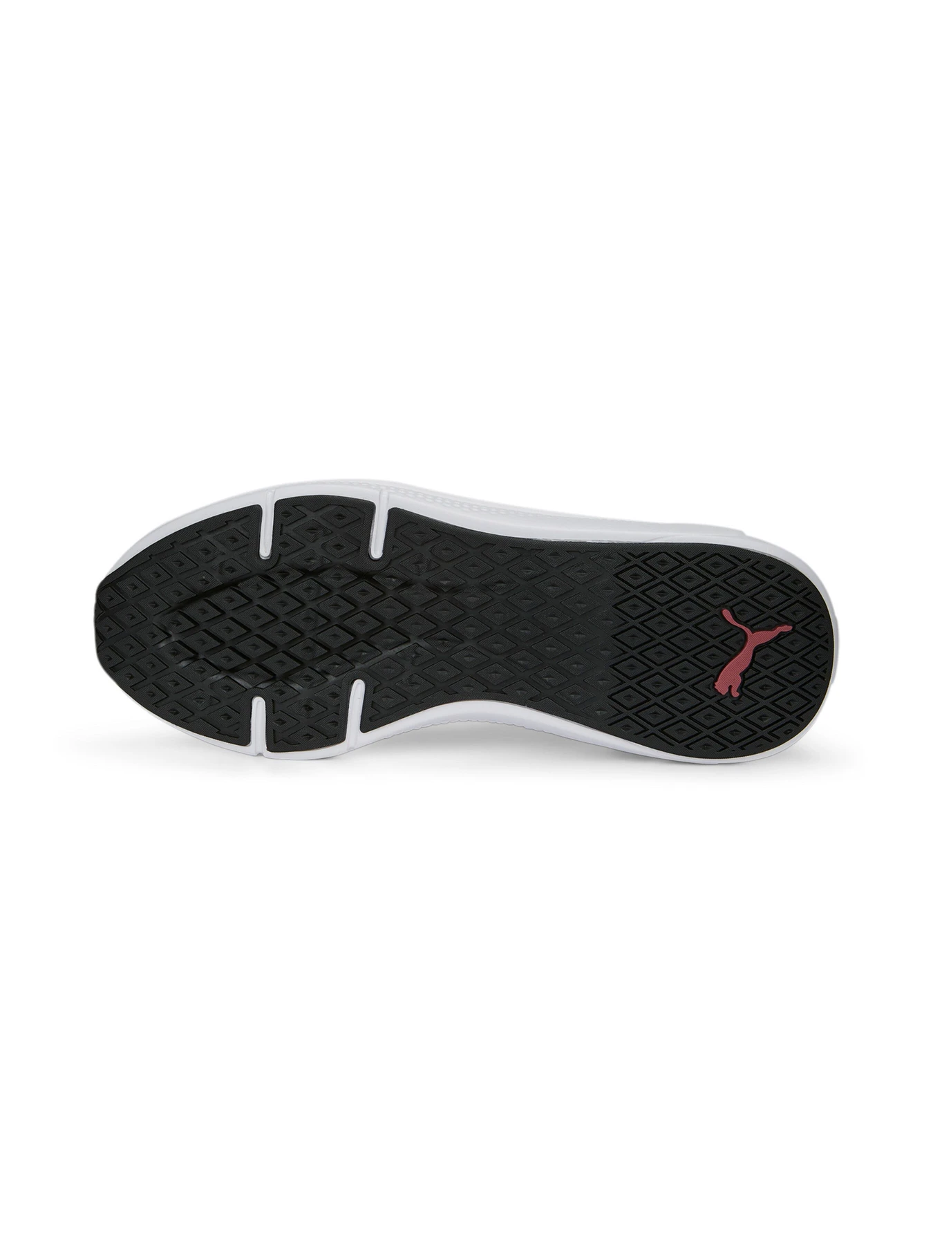 Кросівки PUMA Softride Pro Wns модель 377045 Фото