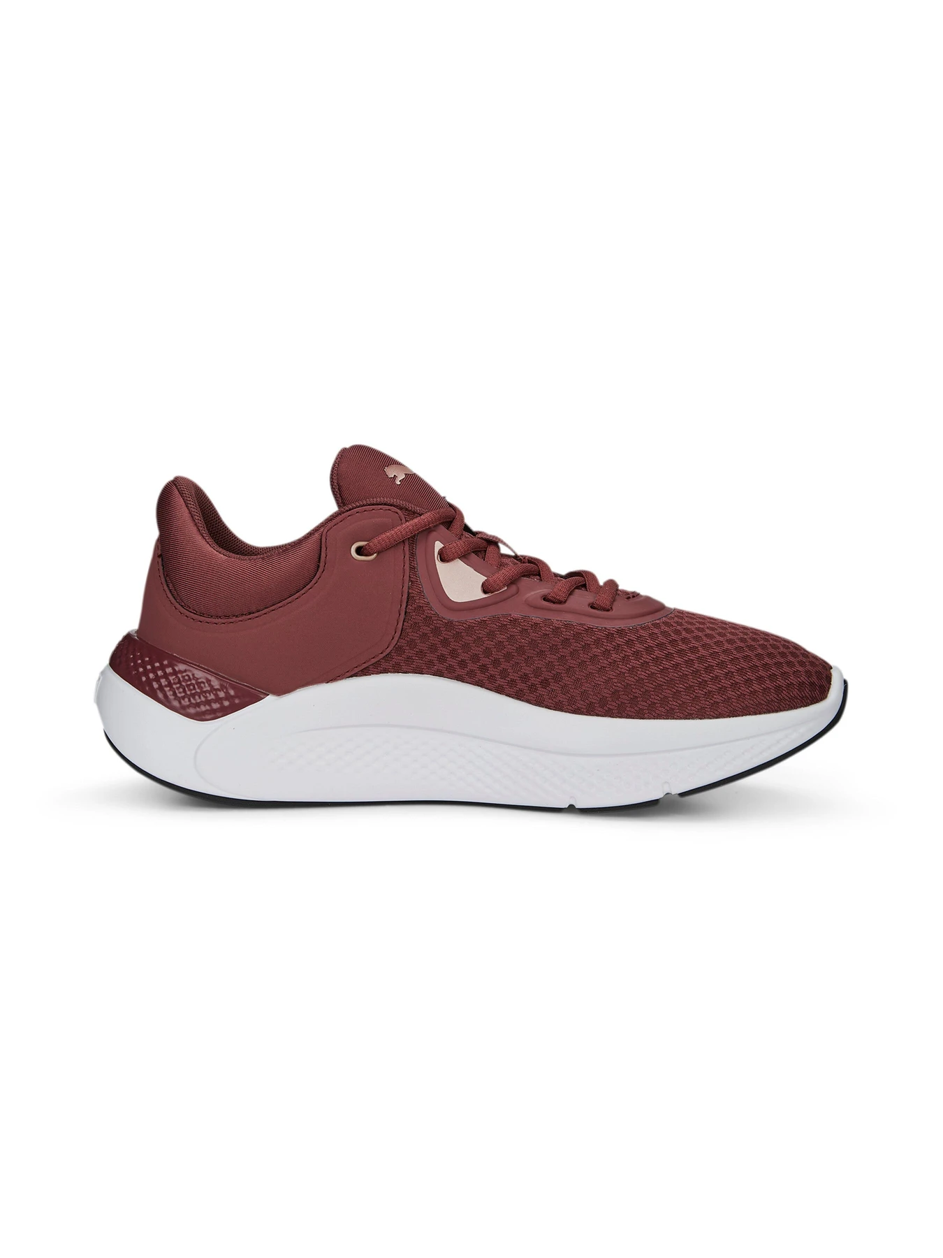 Кросівки PUMA Softride Pro Wns модель 377045 Фото