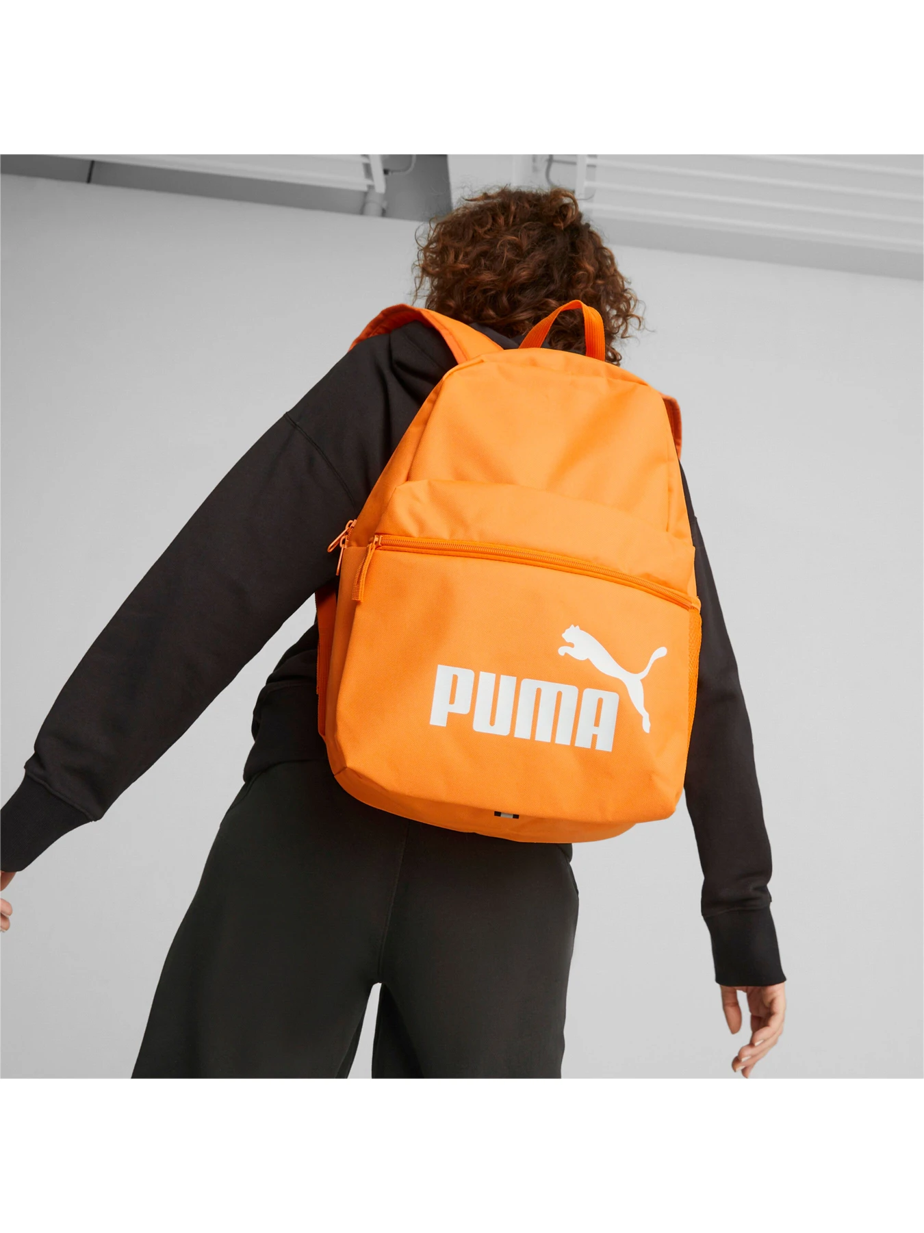Рюкзаки PUMA Phase Backpack модель 075487 Рюкзаки PUMA Phase Backpack модель 075487 Фото