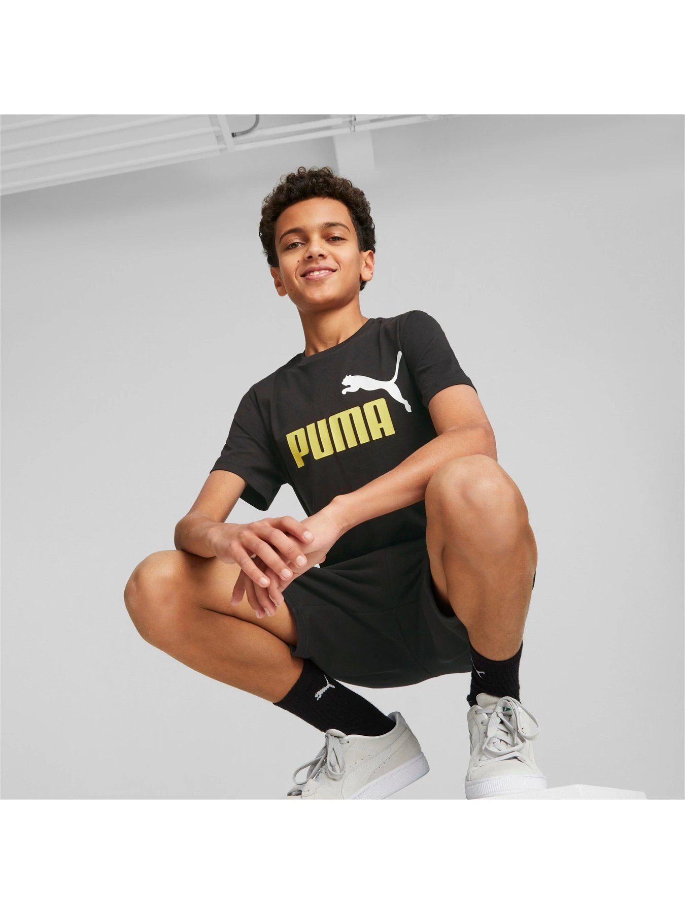 Футболки и поло PUMA Ess+ 2 Col Logo Tee модель 586985 Футболки и поло PUMA Ess+ 2 Col Logo Tee модель 586985 Фото
