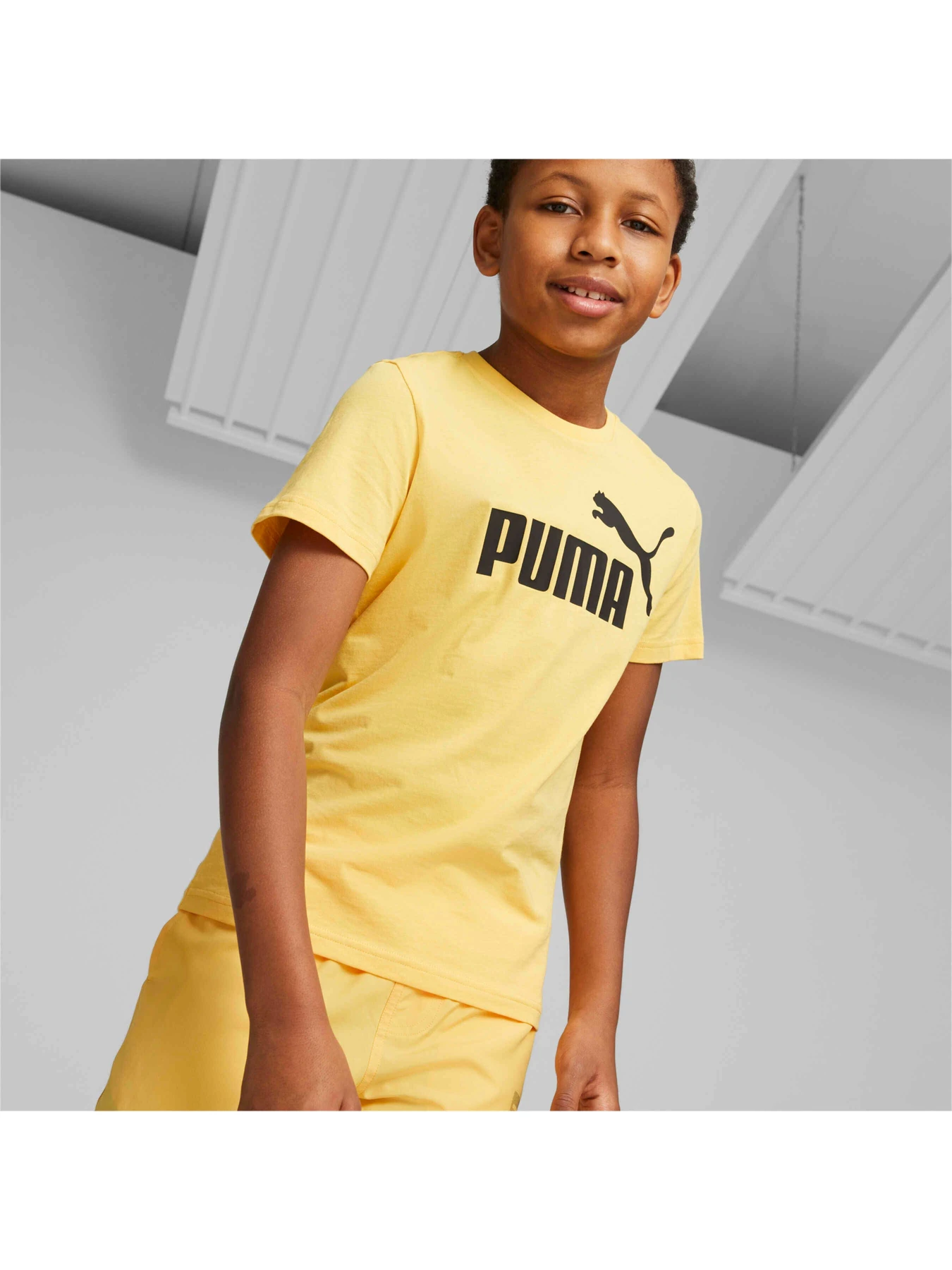 Футболки и поло PUMA Ess Logo Tee модель 586960 Фото