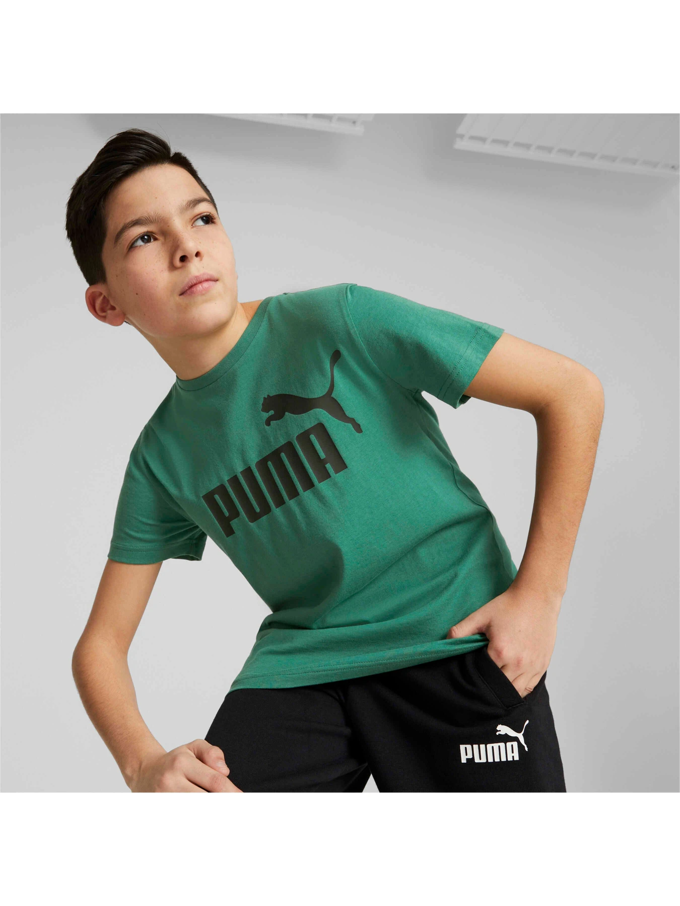 Футболки и поло PUMA Ess Logo Tee модель 586960 Фото