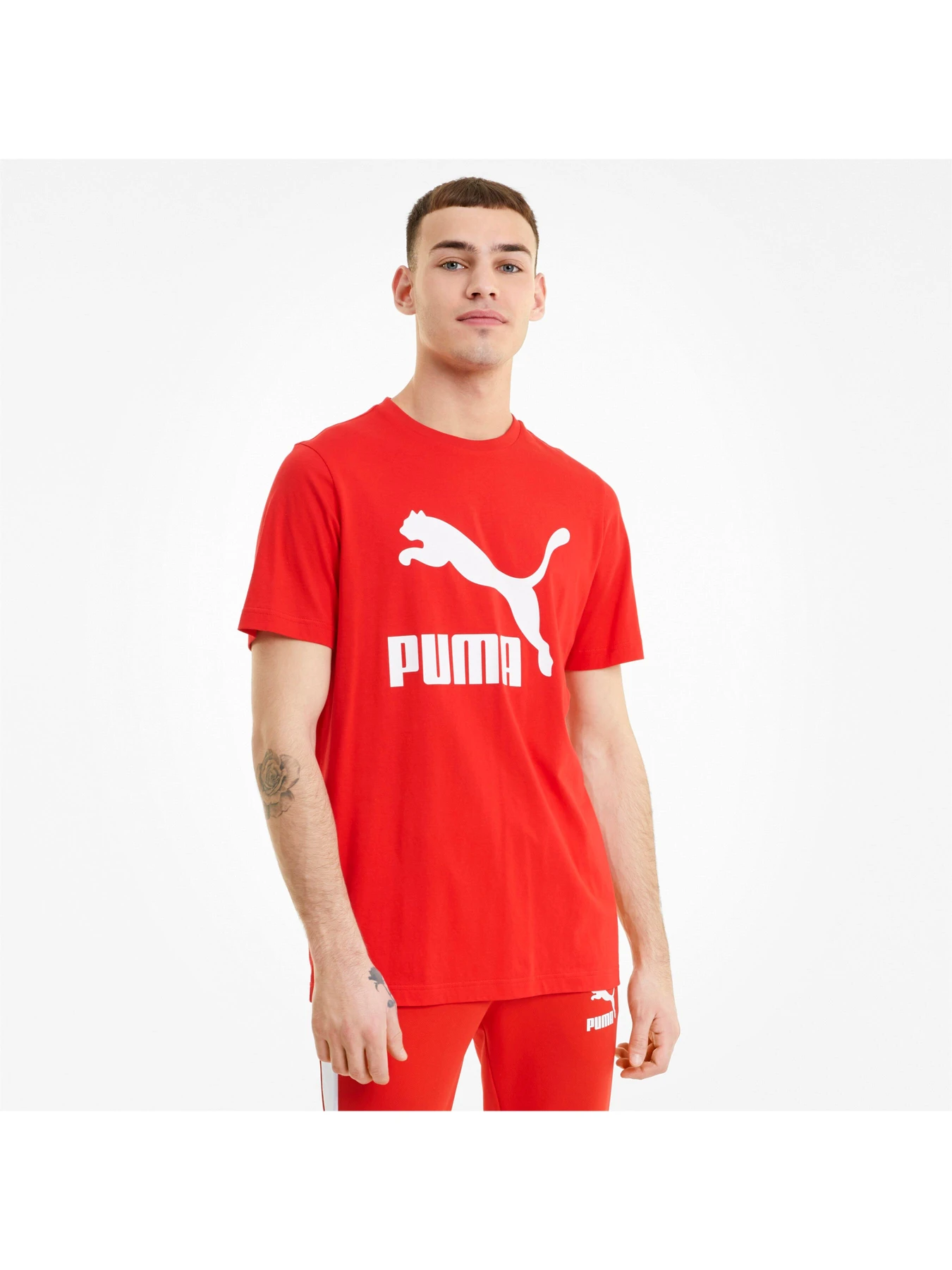 Футболки і поло PUMA модель 530088 Футболки і поло PUMA модель 530088 Фото