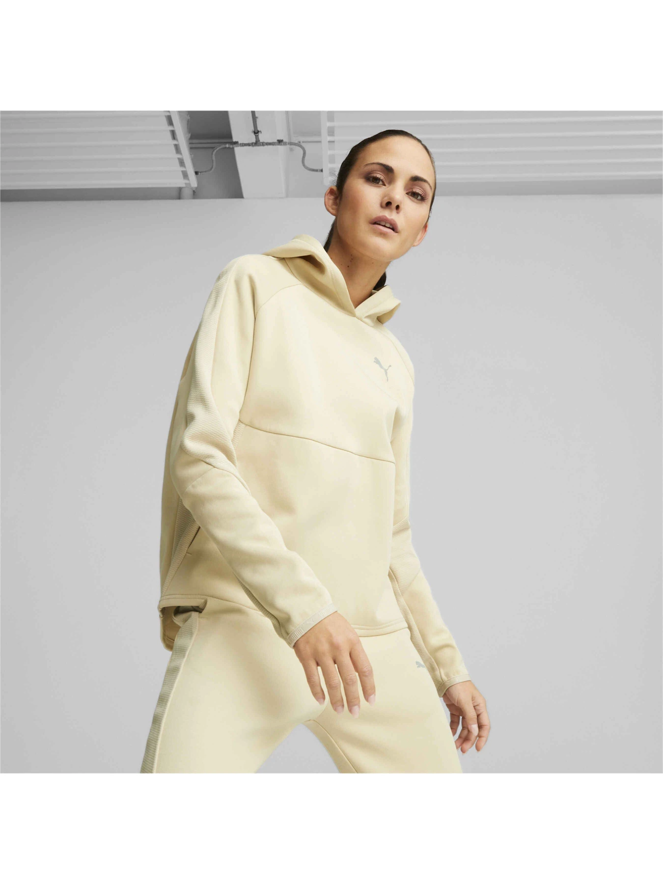 Худі та світшоти PUMA Evostripe Hoodie модель 673084 Фото