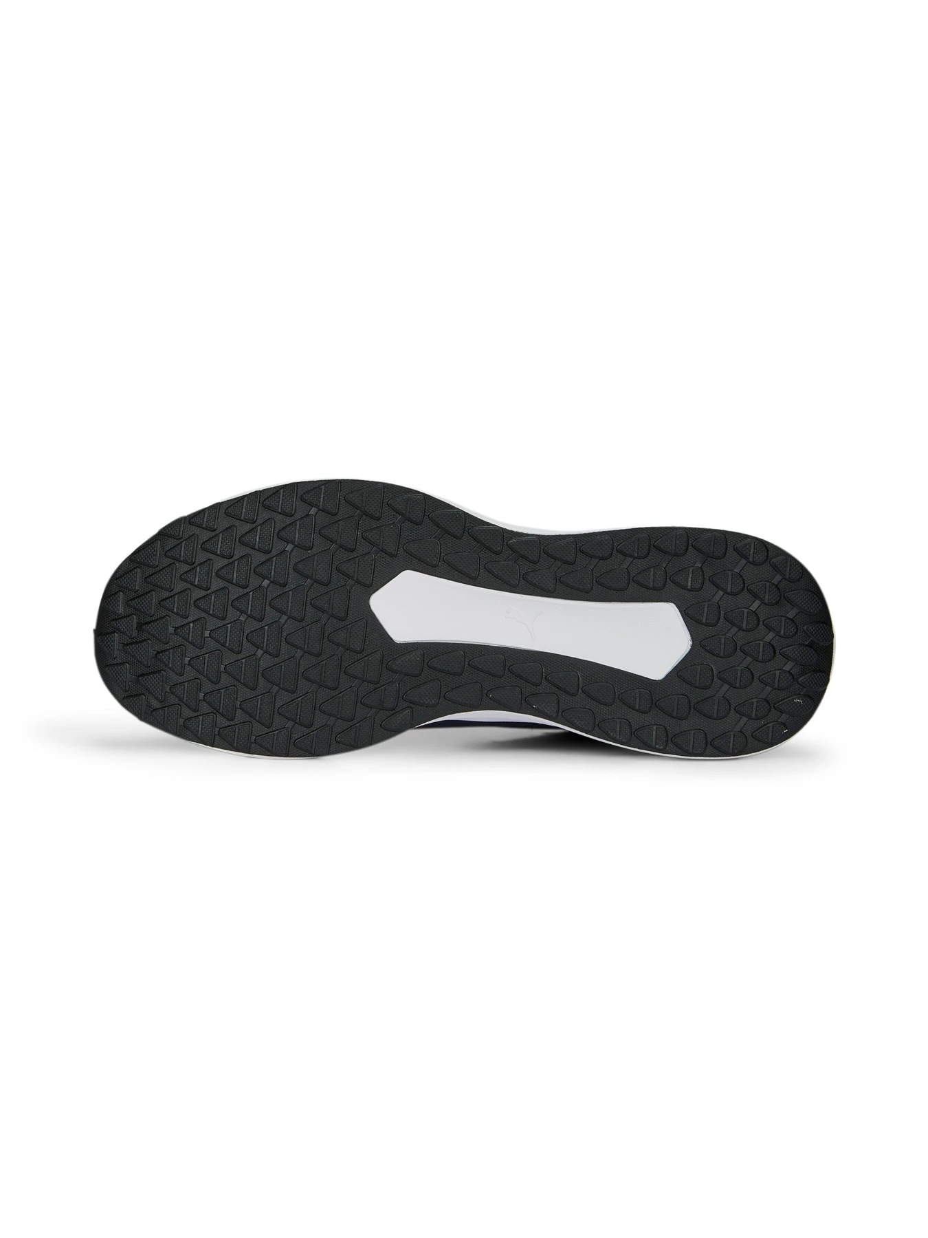 Кроссовки PUMA Twitch Runner Fresh модель 377981 Кроссовки PUMA Twitch Runner Fresh модель 377981 Фото
