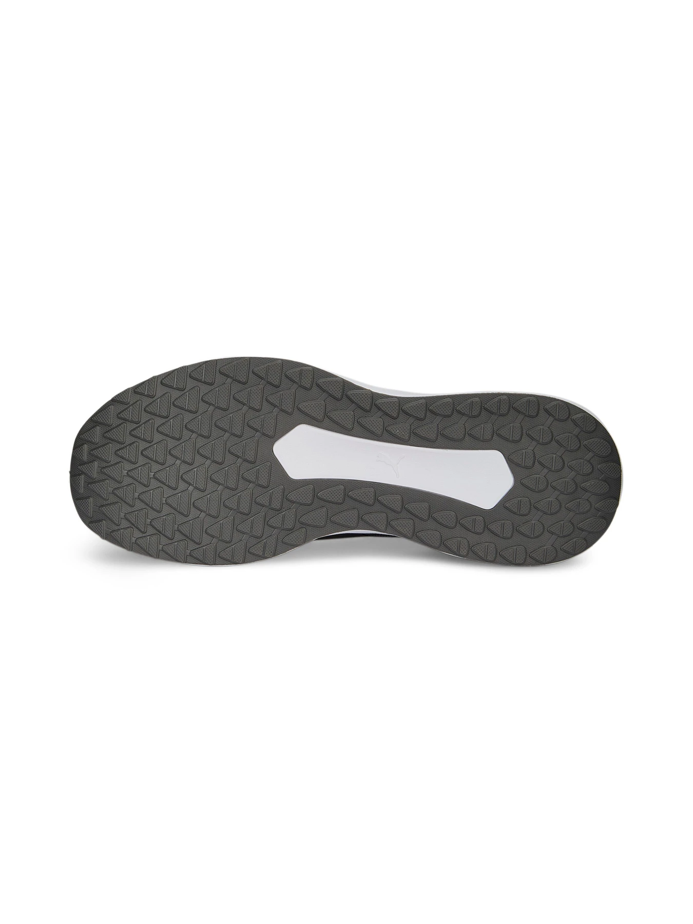 Кроссовки PUMA Twitch Runner Fresh модель 377981 Кроссовки PUMA Twitch Runner Fresh модель 377981 Фото