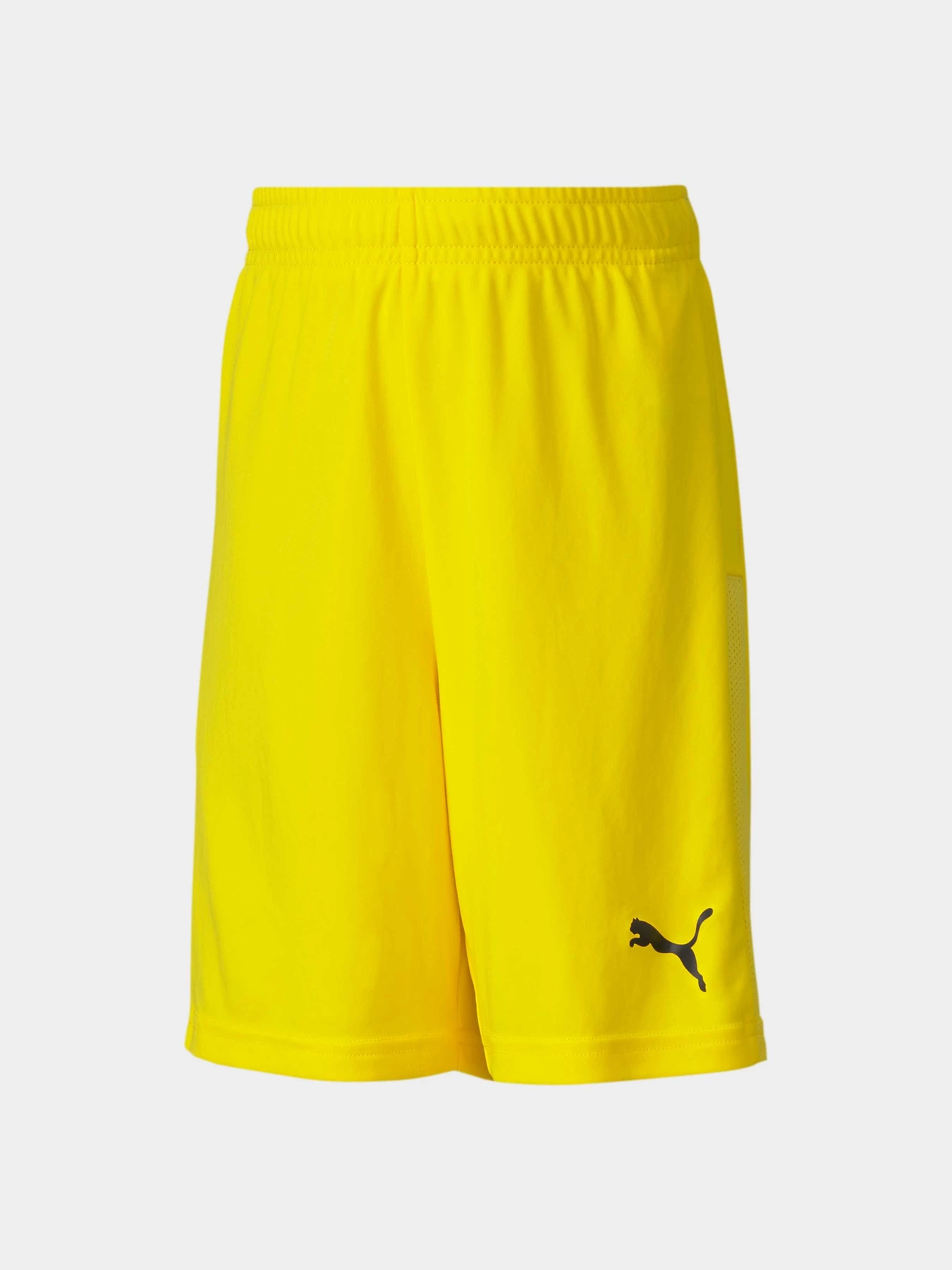 Шорты PUMA Teamgoal 23 Knit Shorts Jr модель 704263 Шорты PUMA Teamgoal 23 Knit Shorts Jr модель 704263 Фото