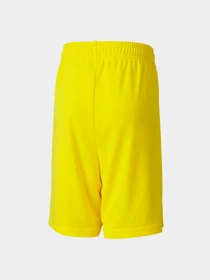 Шорты PUMA Teamgoal 23 Knit Shorts Jr модель 704263 Фото