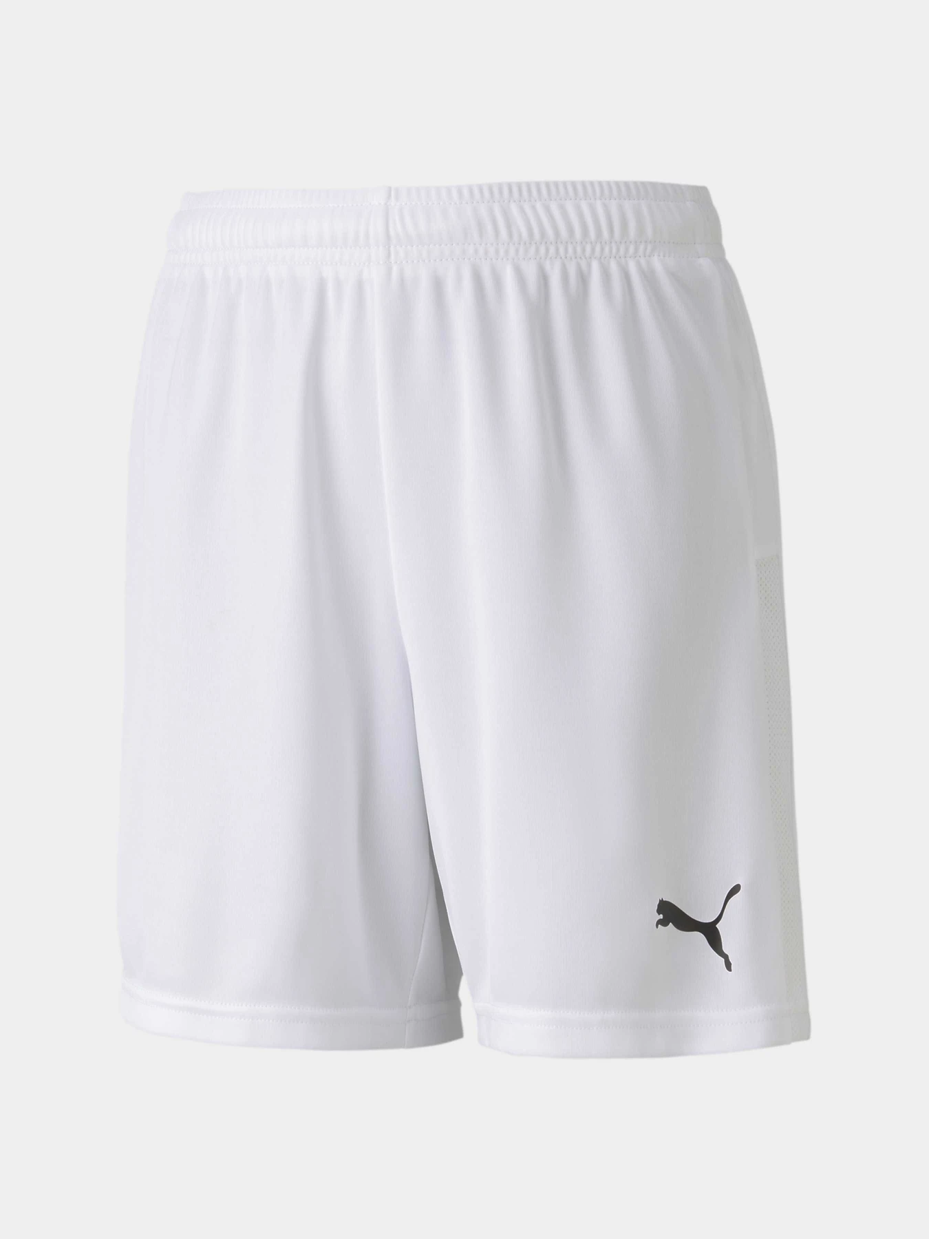 Шорты PUMA Teamgoal 23 Knit Shorts Jr модель 704263 Фото