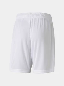 Шорты PUMA Teamgoal 23 Knit Shorts Jr модель 704263 Фото