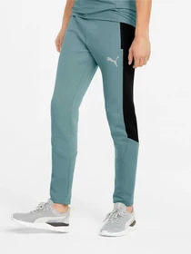 Брюки PUMA Evostripe Pants модель 847404 Фото