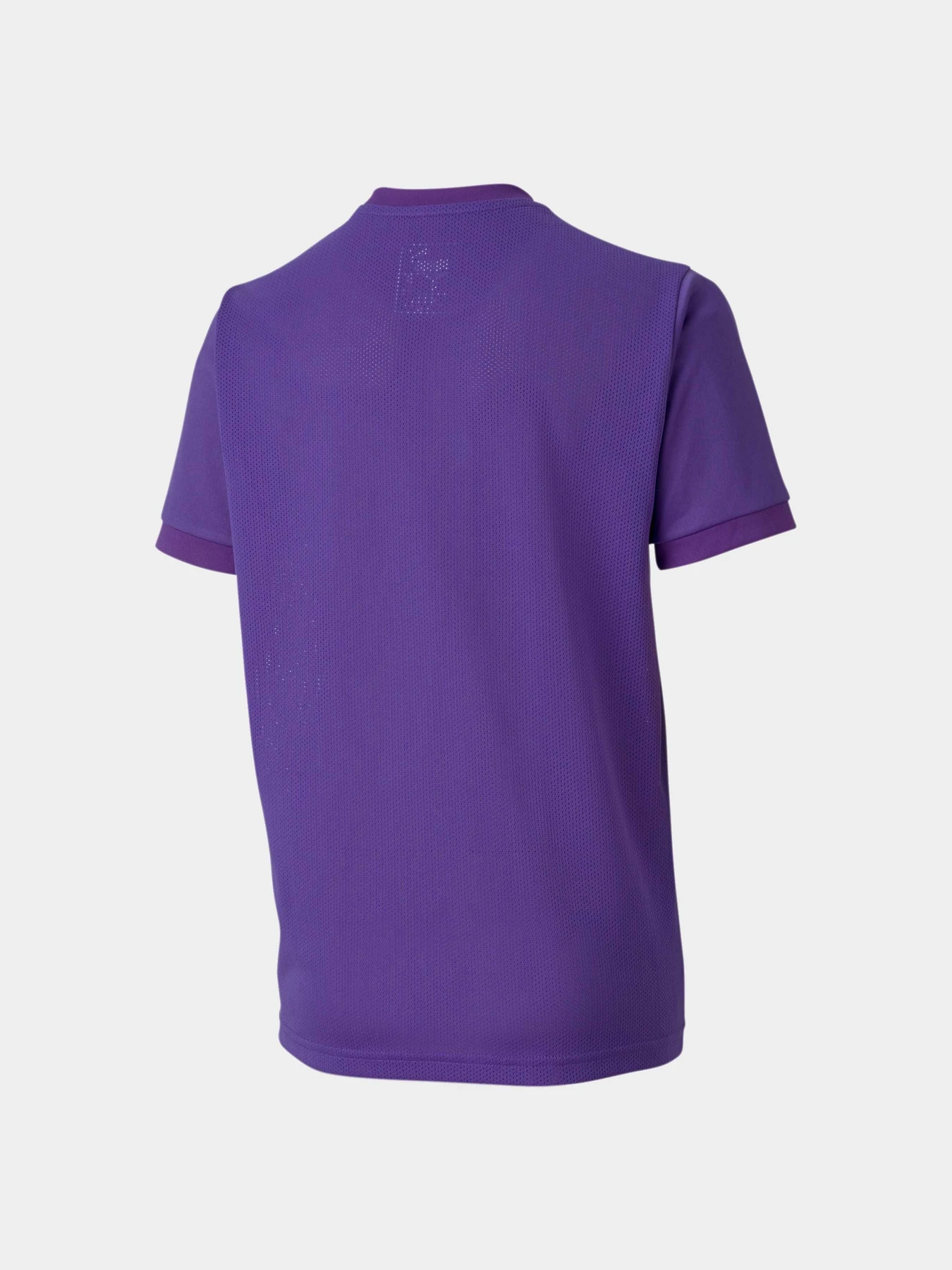 Футболки і поло PUMA Teamgoal 23 Jersey Jr модель 704160 Фото