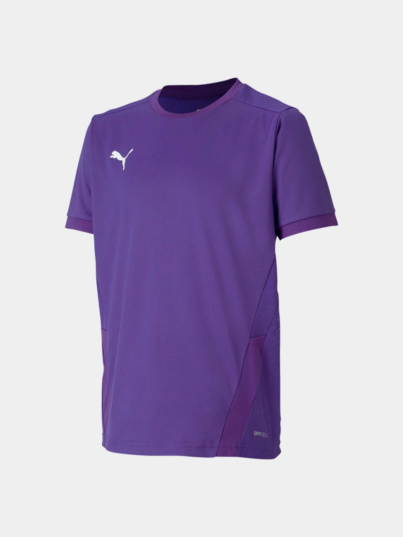 Футболки і поло PUMA Teamgoal 23 Jersey Jr модель 704160 Фото