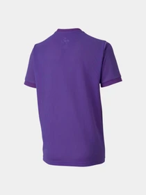 Футболки і поло PUMA Teamgoal 23 Jersey Jr модель 704160 Фото