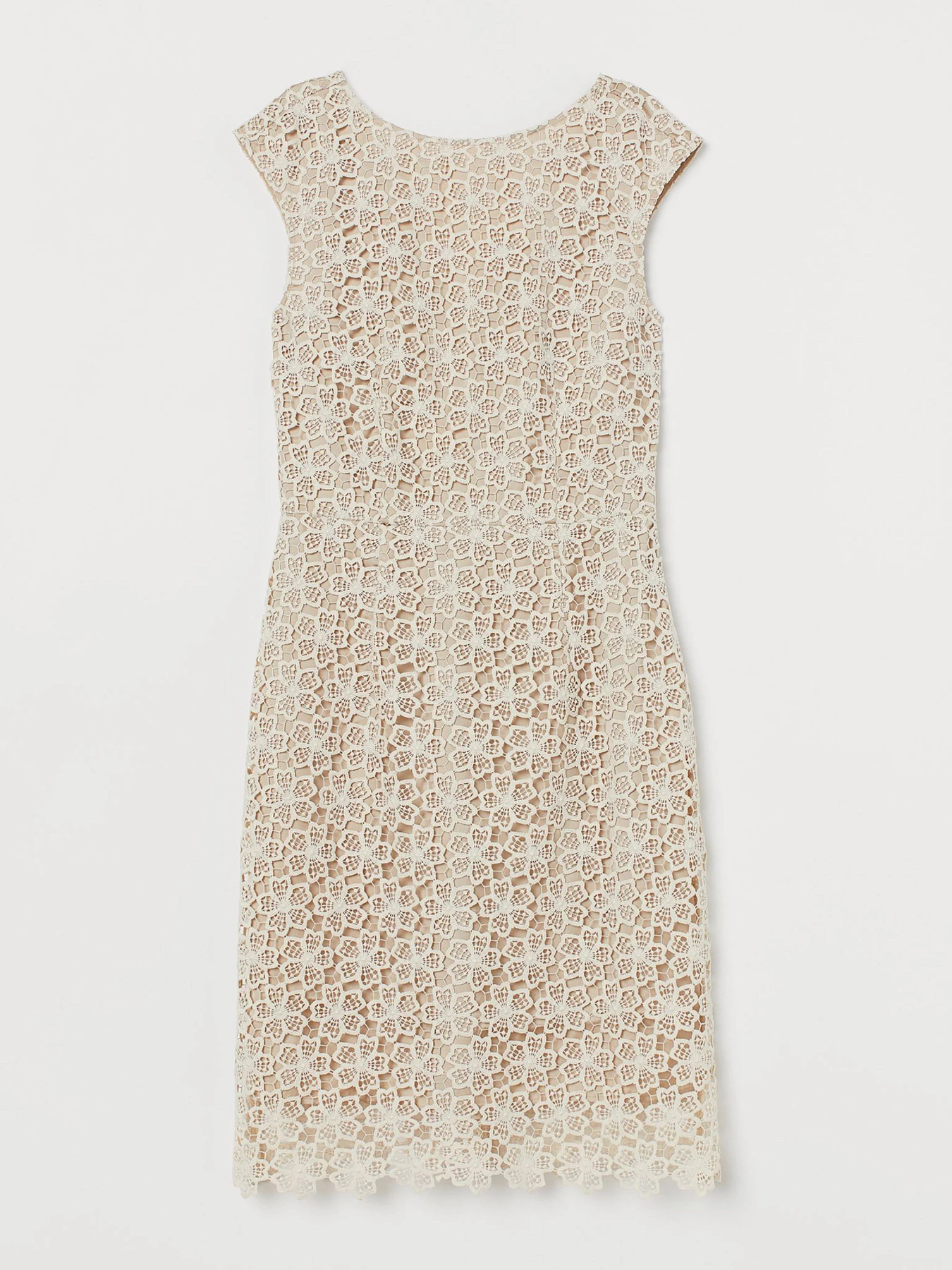 Сукні H&M модель 64646 Фото