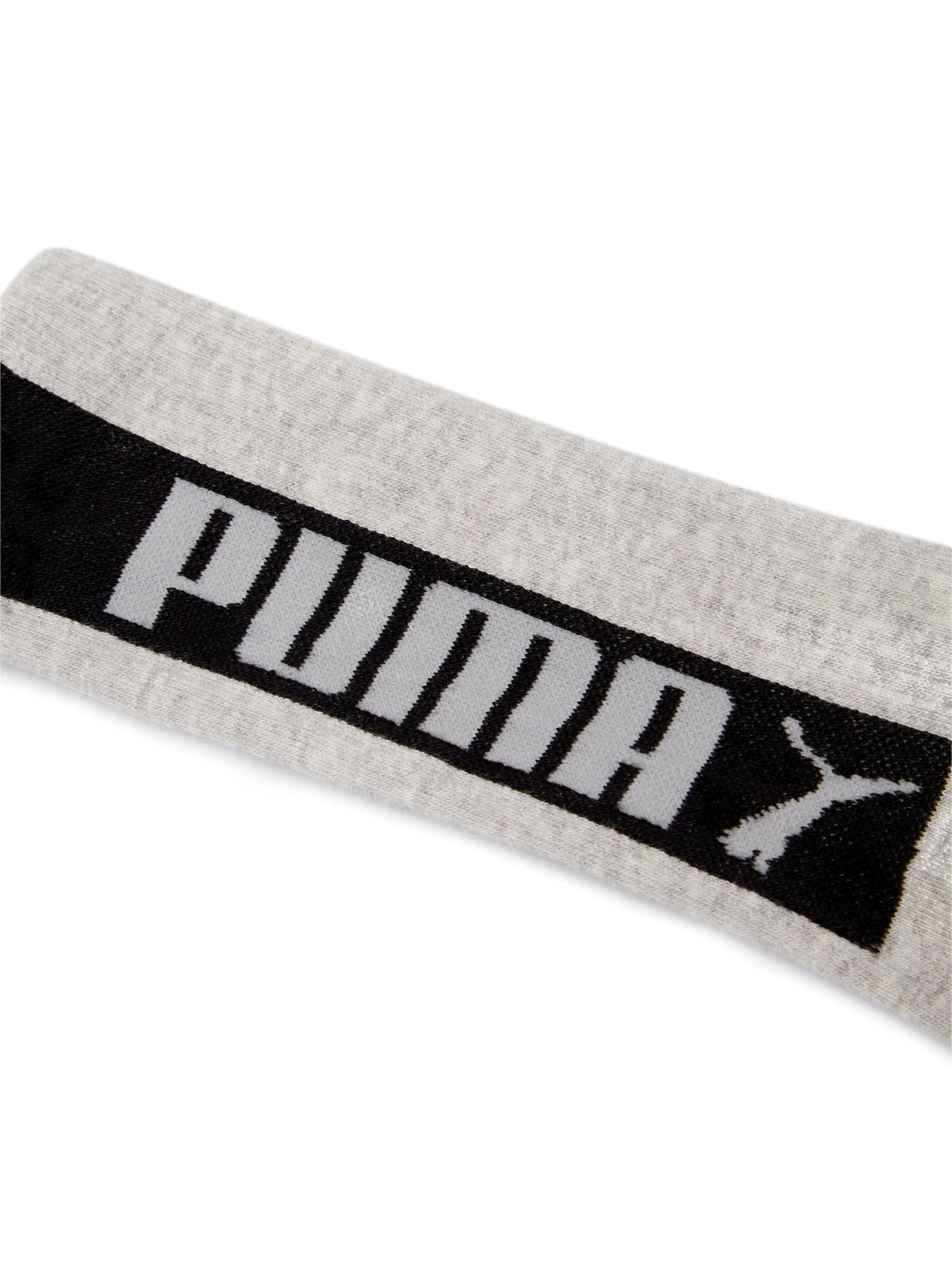 Носки и гольфы PUMA Men Seasonal Logo Sock 2P модель 907804 Фото