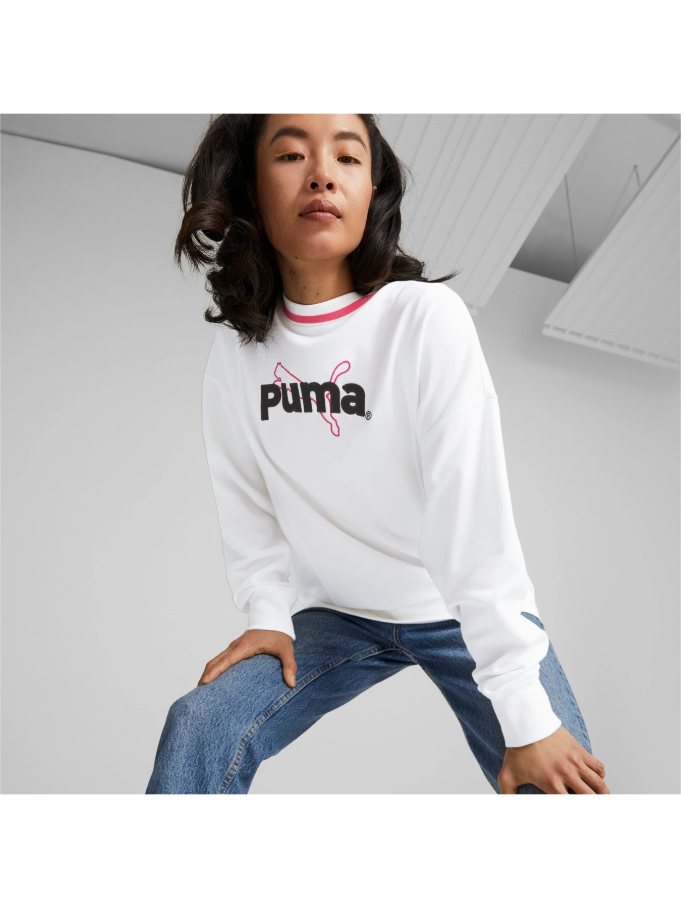 Худі та світшоти PUMA модель 538381 Худі та світшоти PUMA модель 538381 Фото