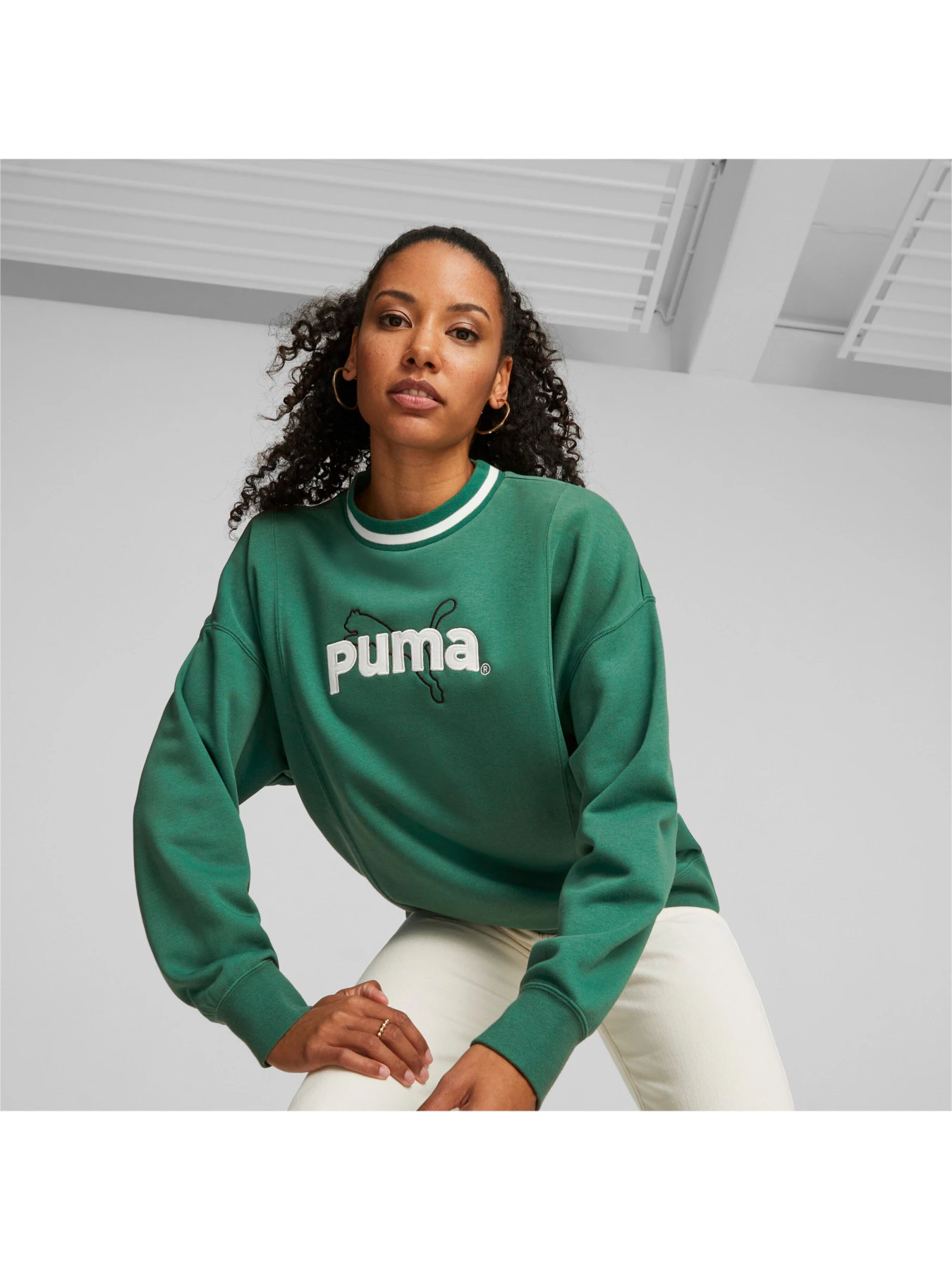 Худі та світшоти PUMA модель 538381 Худі та світшоти PUMA модель 538381 Фото