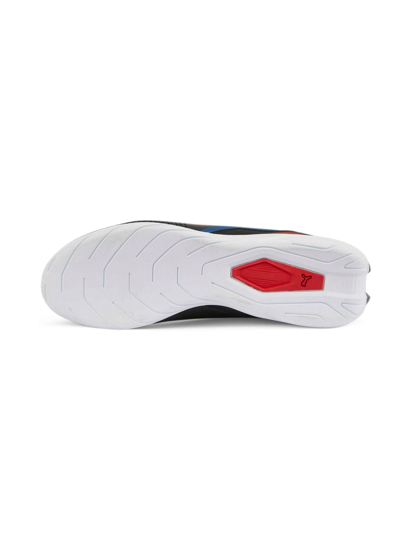 Кросівки PUMA Bmw Mms Drift Cat Decima модель 307304 Кросівки PUMA Bmw Mms Drift Cat Decima модель 307304 Фото