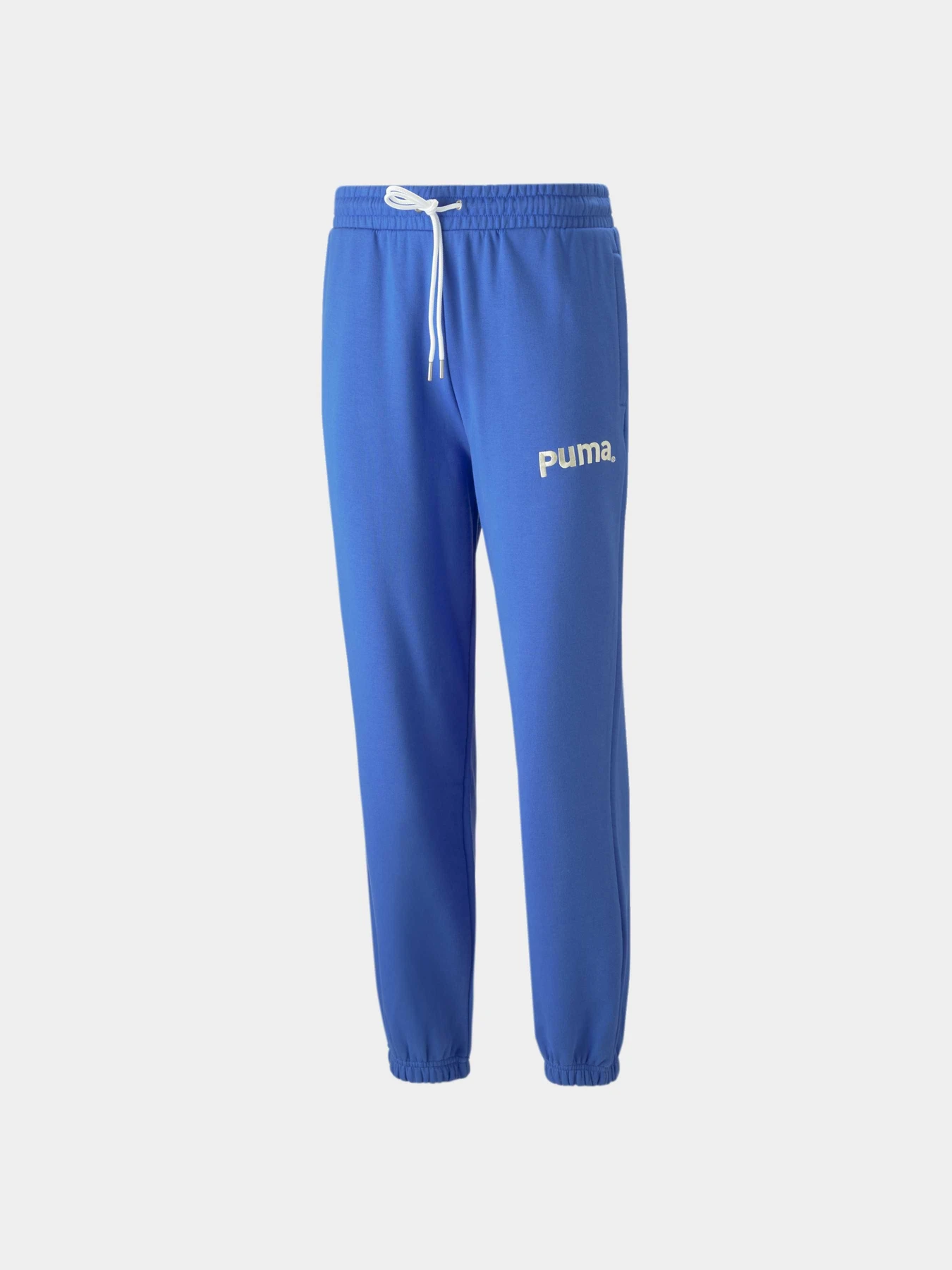 Брюки PUMA Team Sweatpants модель 538261 Фото