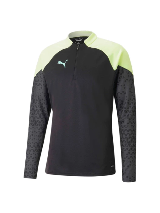 Худи и свитшоты PUMA Individualcup 1/4 Zip Top модель 658291 Фото