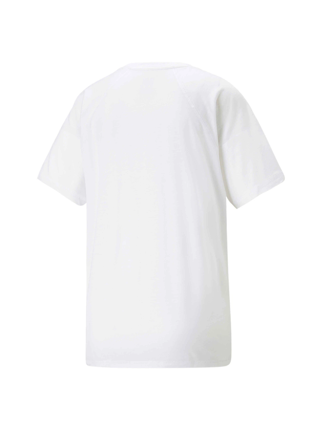 Футболки и поло PUMA Evostripe Tee модель 673066 Футболки и поло PUMA Evostripe Tee модель 673066 Фото