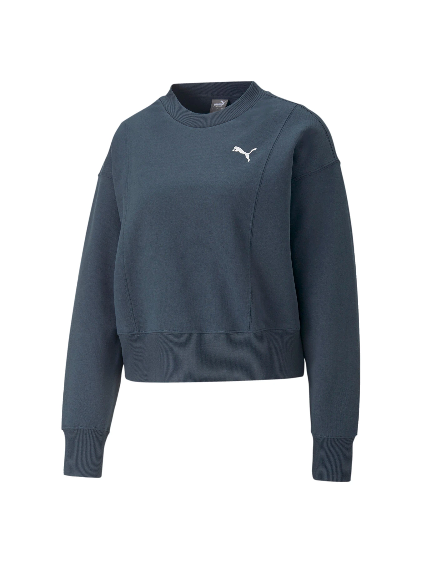 Худі та світшоти PUMA модель 673109 Худі та світшоти PUMA модель 673109 Фото