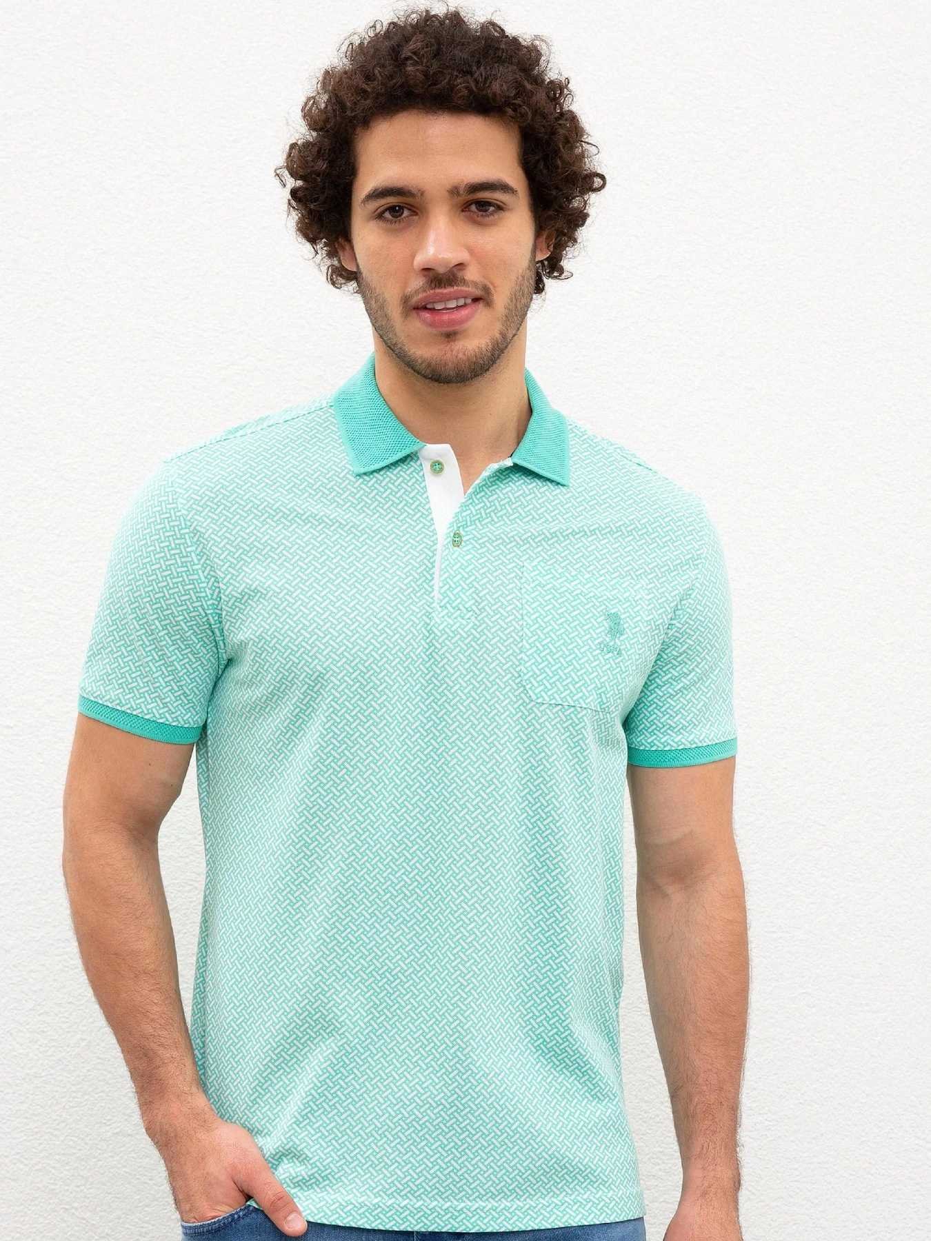 Футболки и поло US Polo модель G081SZ011.000.984320.VR090 Футболки и поло US Polo модель G081SZ011.000.984320.VR090 Фото