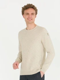 Свитры и кардиганы US Polo модель G081SZ0TK.000.1454482.VR225 Фото