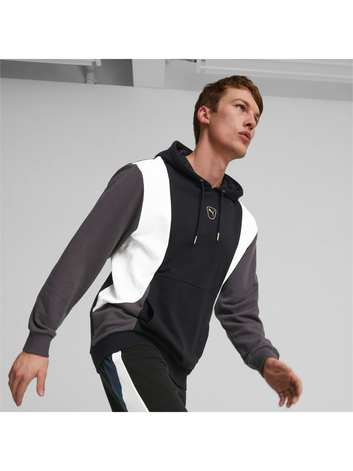 Худи и свитшоты PUMA King Top Hoody модель 658343 Худи и свитшоты PUMA King Top Hoody модель 658343 Фото