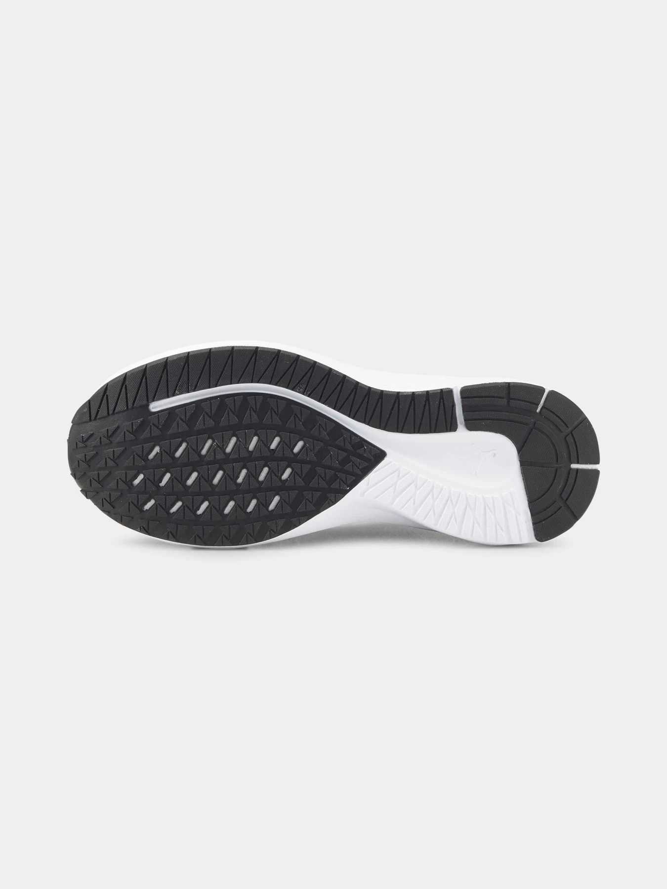 Кросівки PUMA Aviator Profoam Sky модель 376615 Кросівки PUMA Aviator Profoam Sky модель 376615 Фото