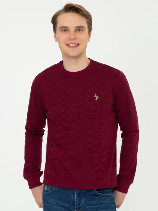 Свитры и кардиганы US Polo модель G081GL082.000.1260124.VR014 Фото