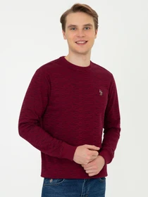 Свитры и кардиганы US Polo модель G081GL082.000.1260124.VR014 Фото