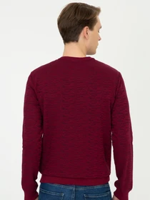 Свитры и кардиганы US Polo модель G081GL082.000.1260124.VR014 Фото